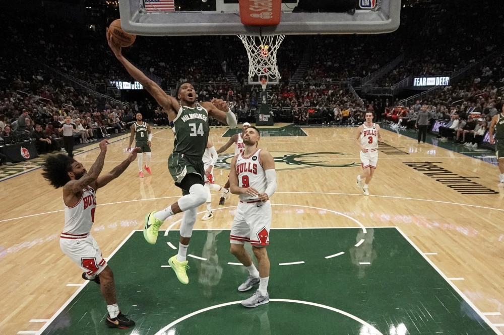 的最佳人选 的最佳人选